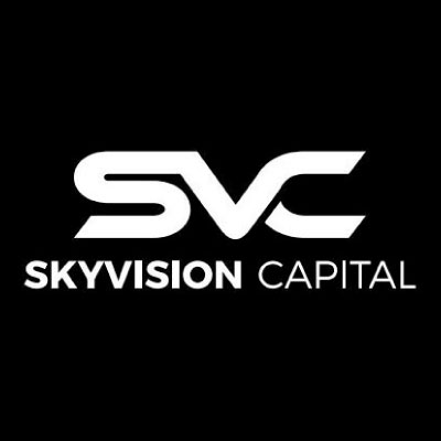 SkyVision Capital Portfolio, Top Projects by ROI & Recent Investments ...