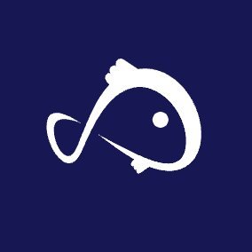 Koii (KOII) Price, Investors & Funding, Charts, Market Cap | Chain Broker